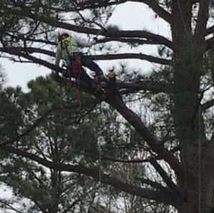 Meet your Posher, Lewis